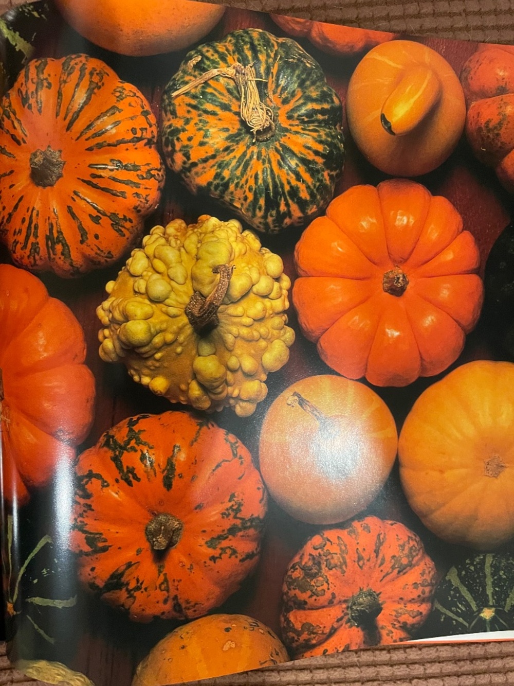 Punmpkins:  A Photographic Celebration - Hardbound - Picture 8 of 13